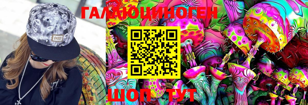 Галлюциногенные грибы GOLDEN TEACHER  Галлюциногенные грибы Psilocybine cubensis  Вход с VPN  Кинель 
